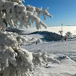 Brzozowa Osada Holiday home *