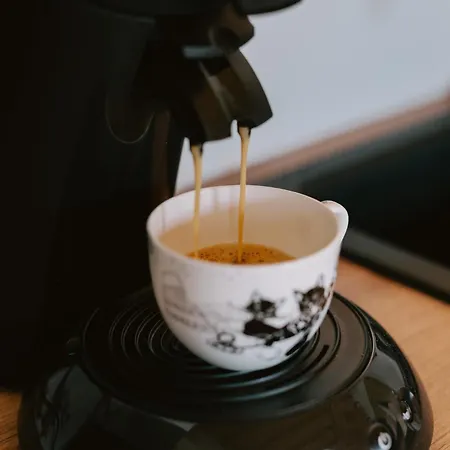 Brzozowa Osada 別荘 Zagórze Śląskie