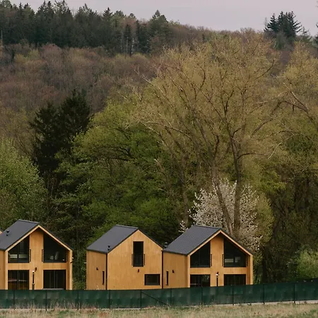 Brzozowa Osada Holiday home *