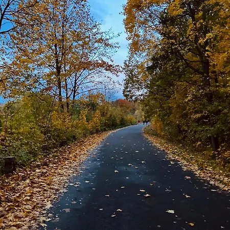 Brzozowa Osada * Zagórze Śląskie