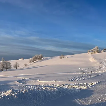 別荘 Brzozowa Osada *