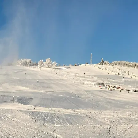 Brzozowa Osada Feriehus Zagórze Śląskie