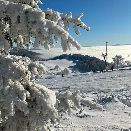 Brzozowa Osada 別荘 *