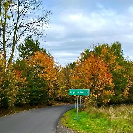 別荘 Brzozowa Osada *