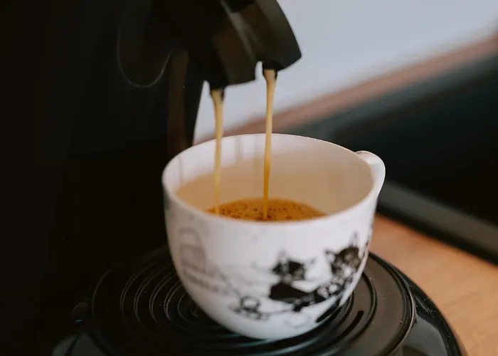 Brzozowa Osada 펜션 Zagórze Śląskie