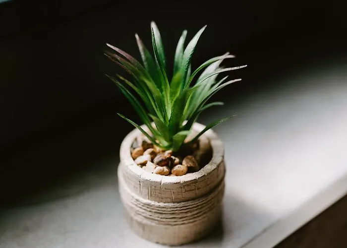 Brzozowa Osada * Zagórze Śląskie