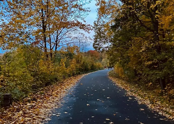 Brzozowa Osada * Zagórze Śląskie