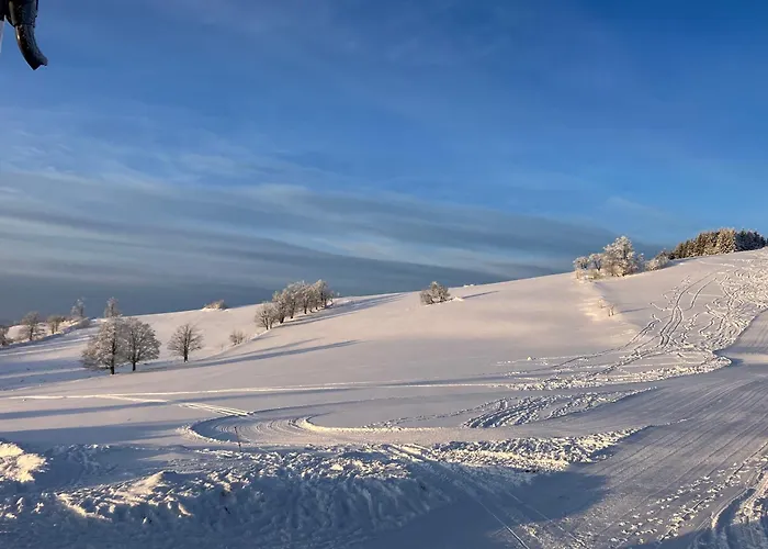 펜션 Brzozowa Osada *