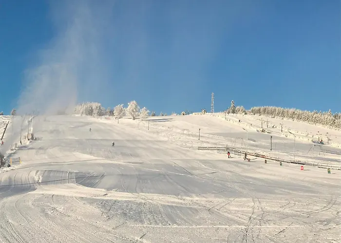 Brzozowa Osada Feriehus Zagórze Śląskie
