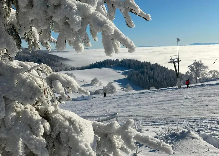 Brzozowa Osada Feriehus *