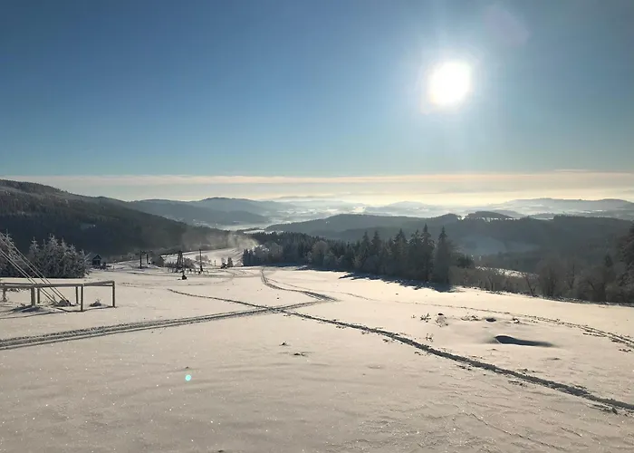 Brzozowa Osada 펜션 *