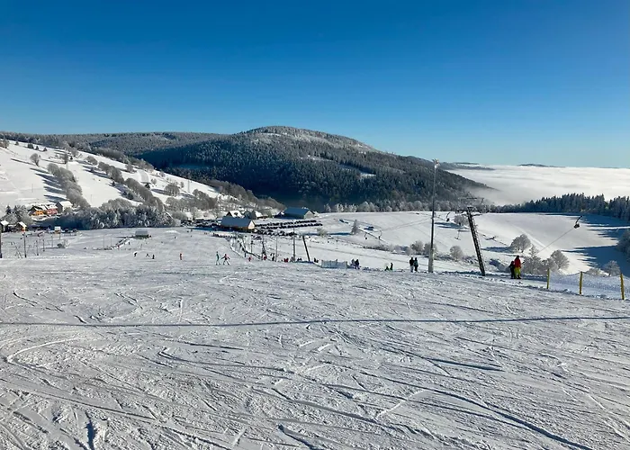 Feriehus Brzozowa Osada *