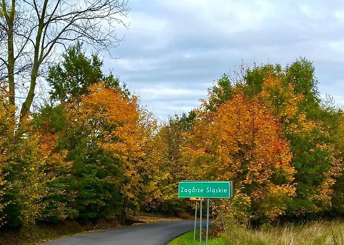 펜션 Brzozowa Osada *