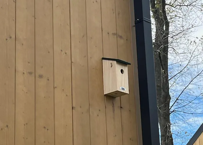 Brzozowa Osada * Zagórze Śląskie